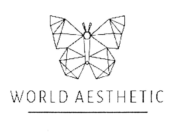 world aesthetic
