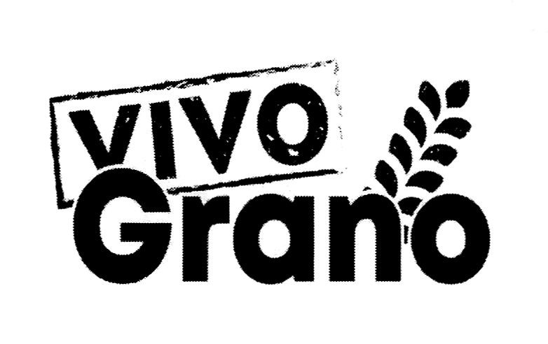 vivo grano