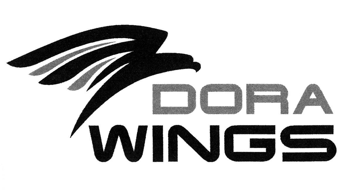 dora wings