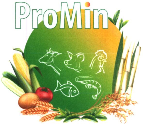 pro min