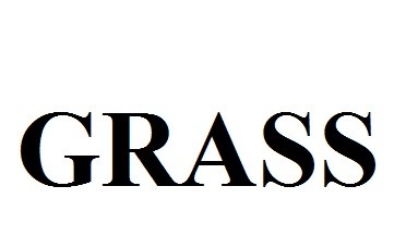 grass