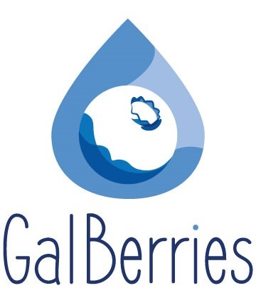 gal berries