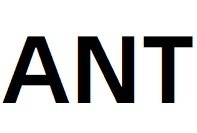 ant