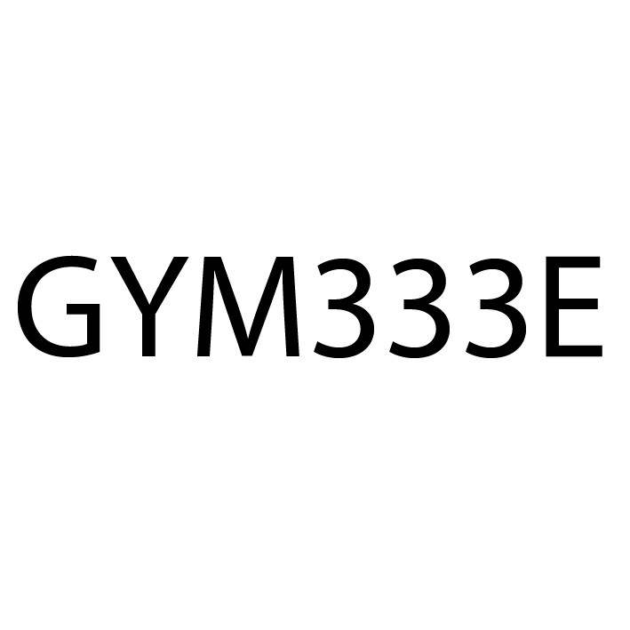 gym333e