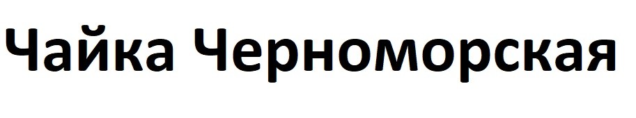 чайка черноморская