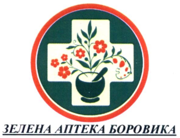 зелена аптека боровика