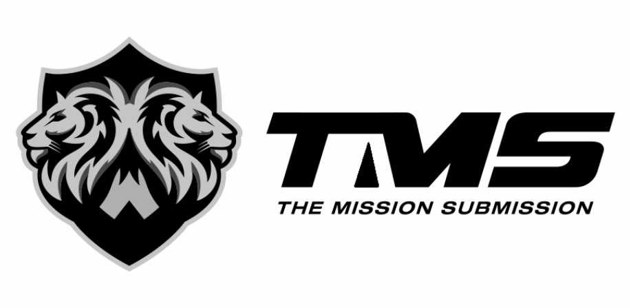 the mission submission