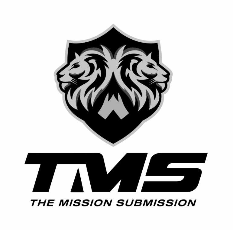 the mission submission