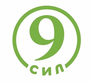9 сил