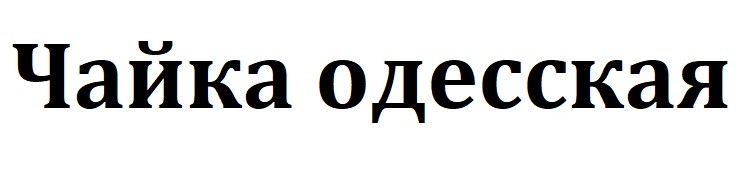 чайка одесская