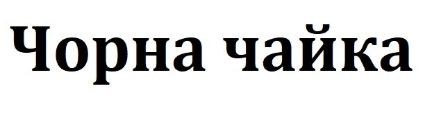 чорна чайка