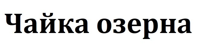 чайка озерна