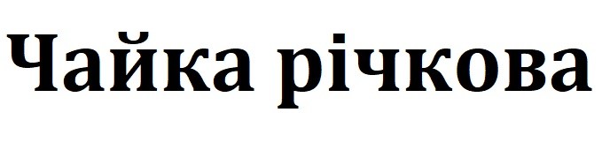 чайка річкова
