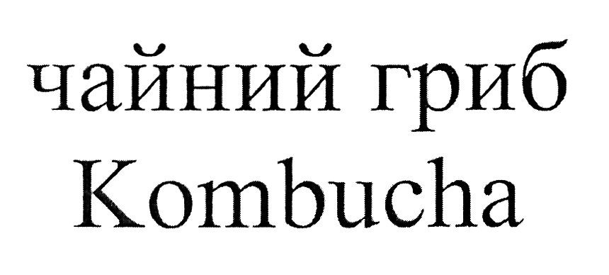 чайний гриб kombucha