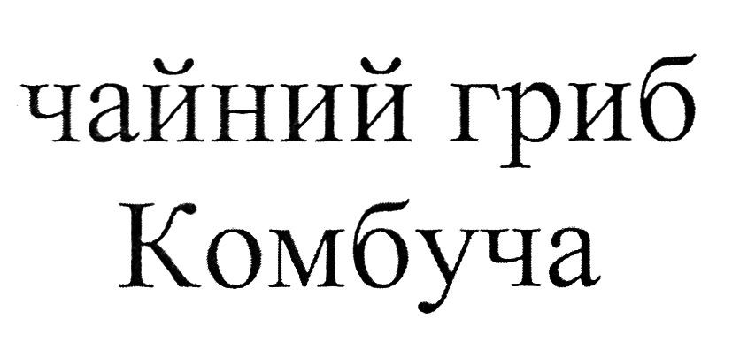 чайний гриб комбуча