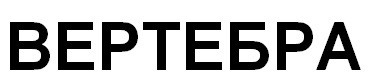 вертебра