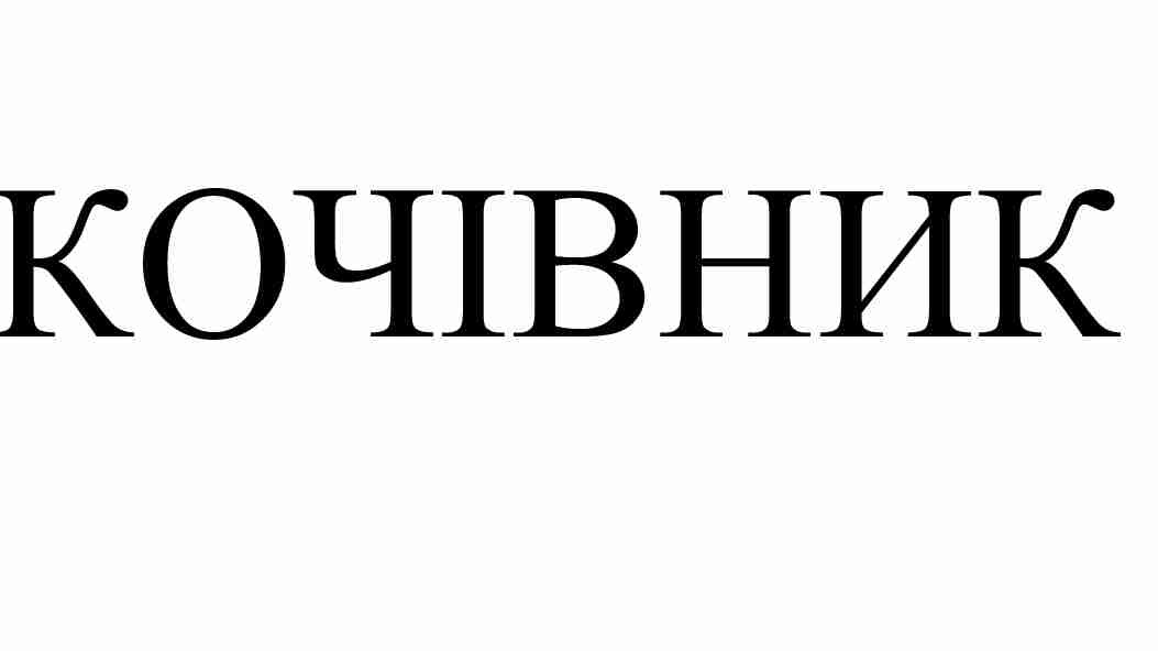 кочівник