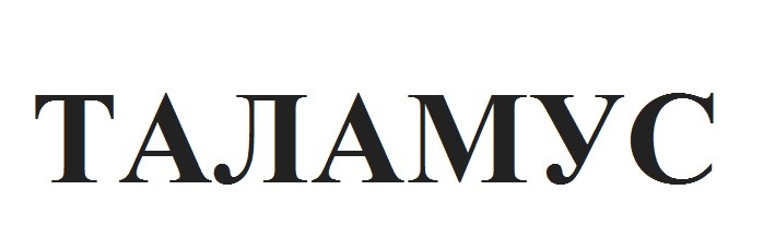 таламус