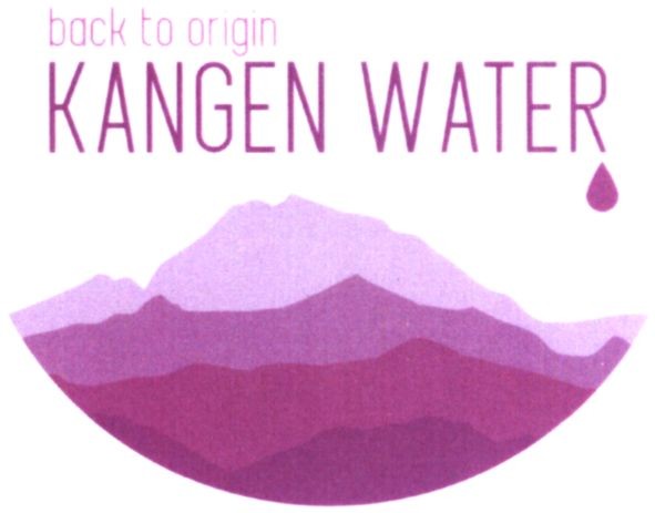 back to origin kangen water