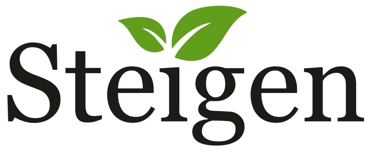 steigen
