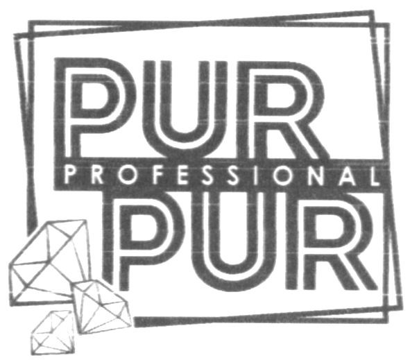 pur professional pur