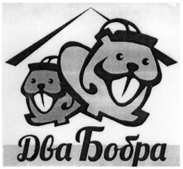 два бобра