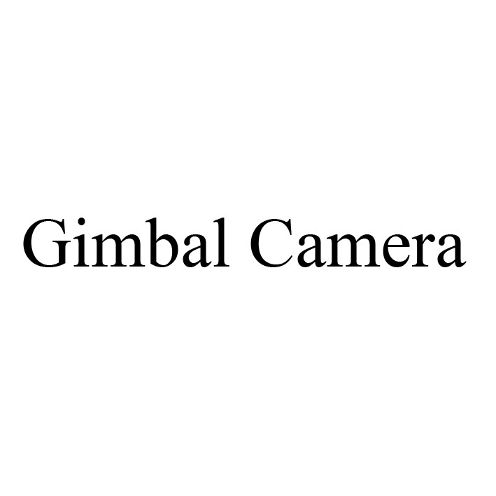 gimbal camera