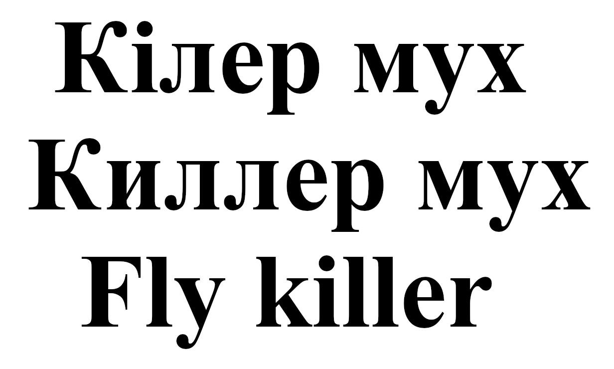 fly killer