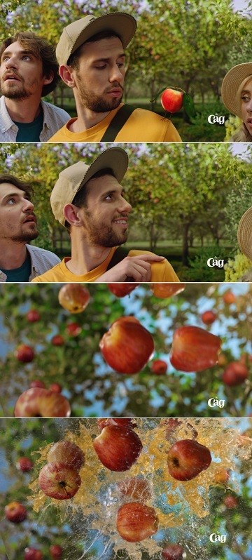 де сад