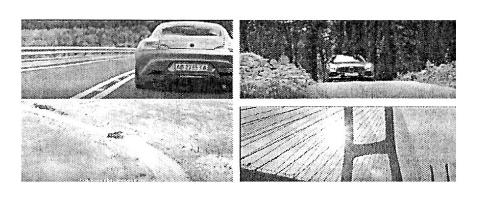 Фігуративна марка № m202015071
