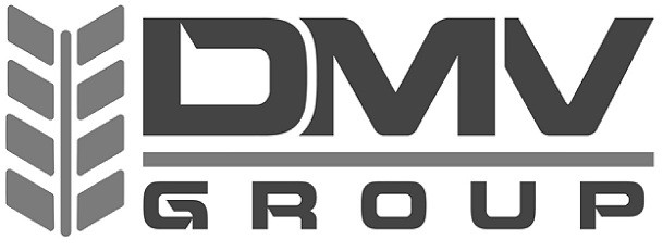 dmv group