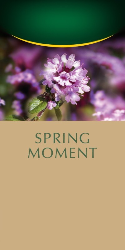 spring moment
