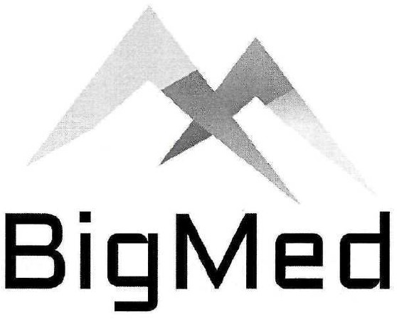 bigmed
