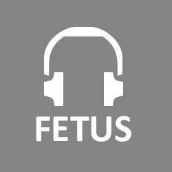 fetus