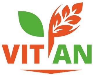 vit an