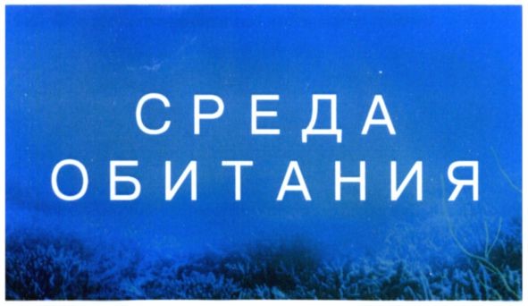 среда обитания