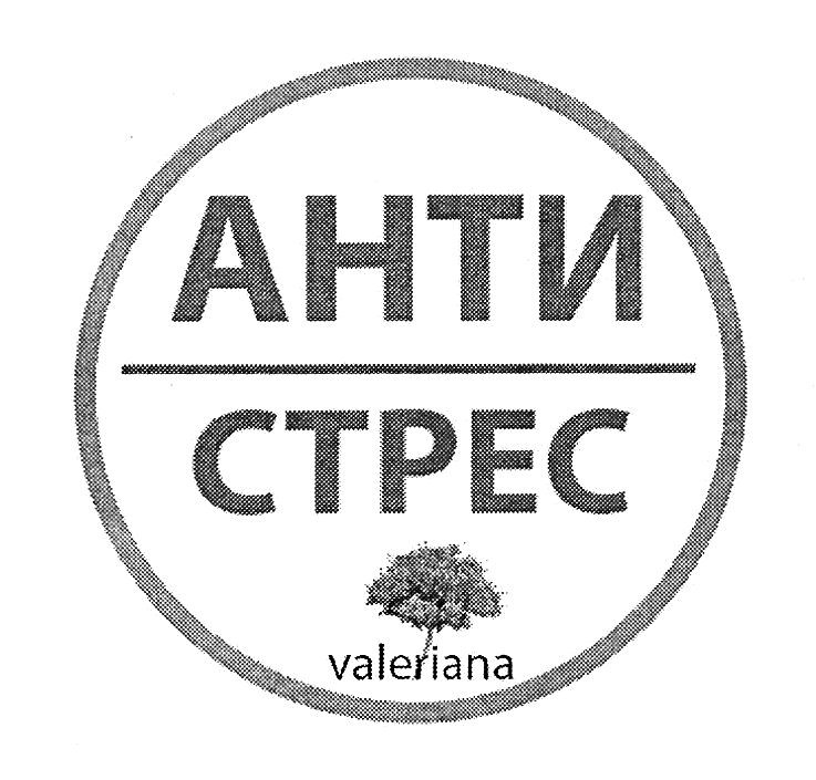 анти стрес