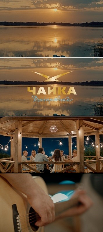 чайка дніпровська
