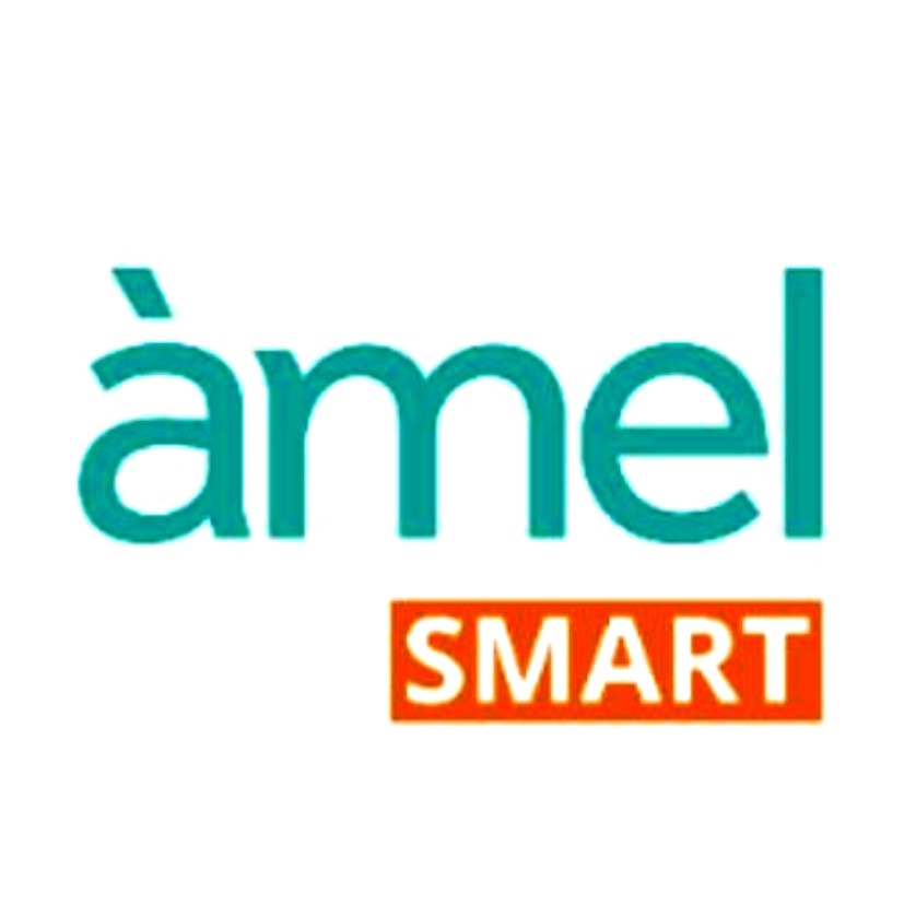 amel smart
