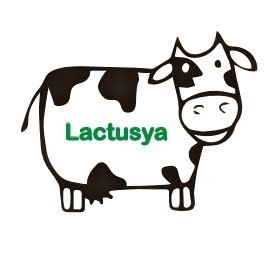 lactusya