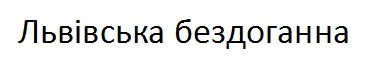 львівська бездоганна