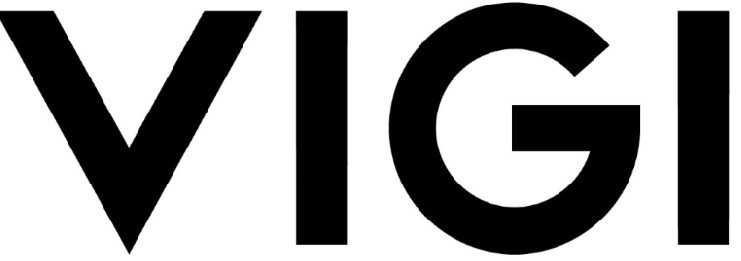 vigi