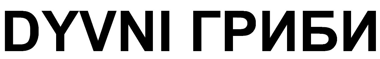 dyvni гриби