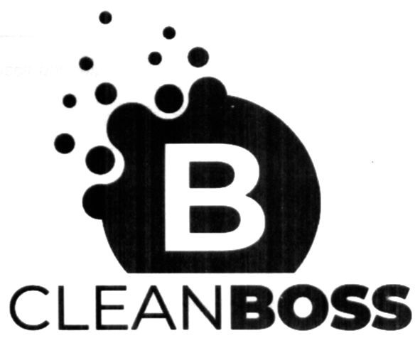 clean boss