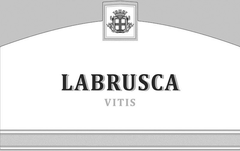 labrusca vitis