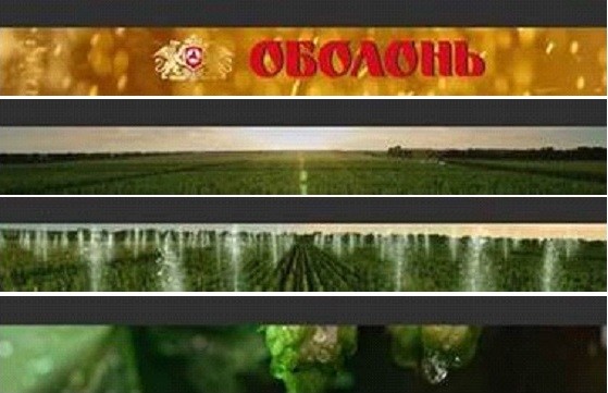 оболонь
