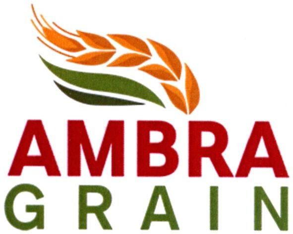 ambra grain