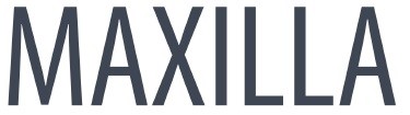 maxilla