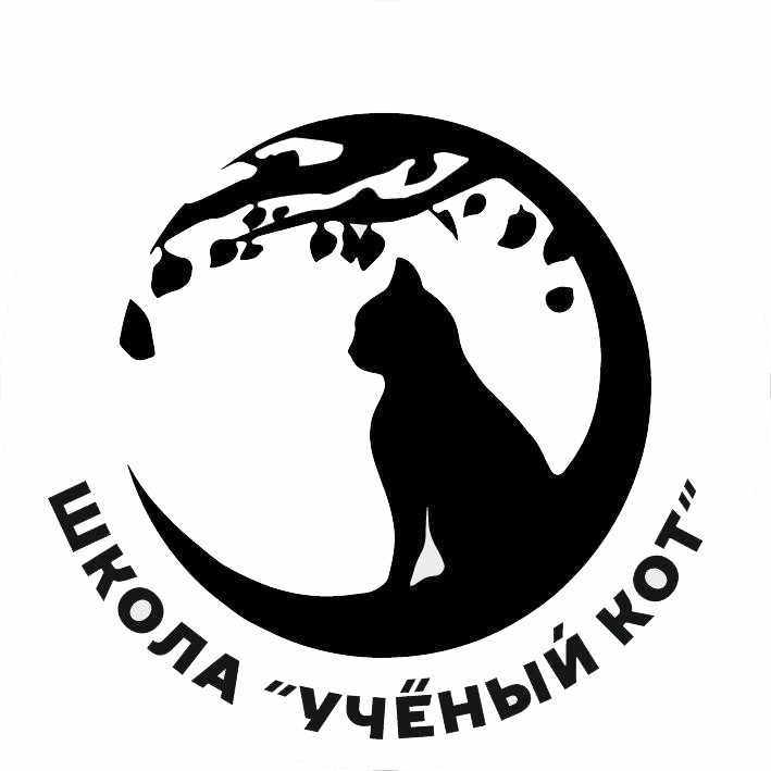 школа ученый кот