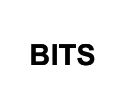 bits